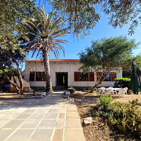 Residenza Palm Tree アパート *