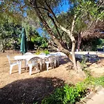 Residenza Palm Tree With Private Parking