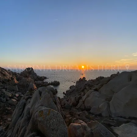 Residenza Palm Tree Апартаменты *