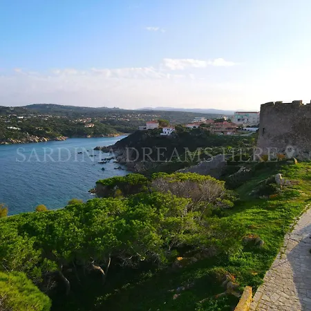 Residenza Palm Tree Apartament