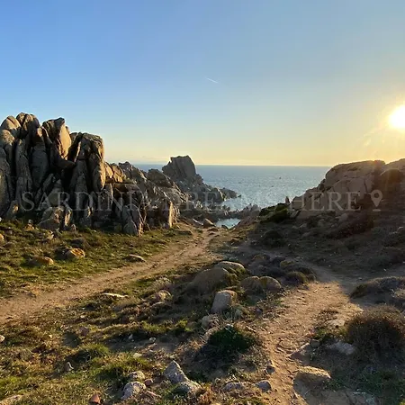 Residenza Palm Tree Apartament