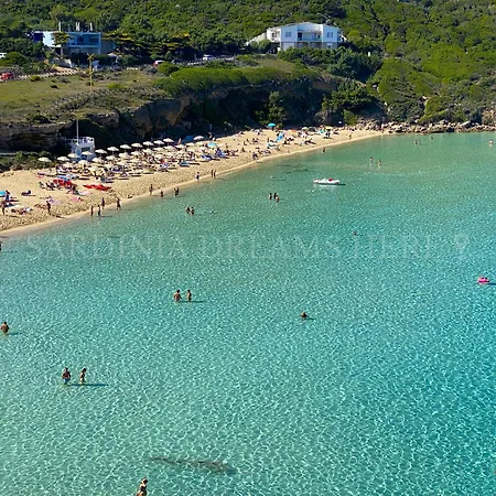 Residenza Palm Tree *