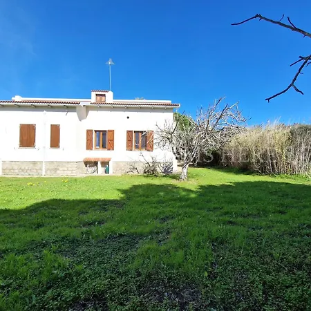 Residenza Palm Tree With Private Parking Apartment Santa Teresa Gallura