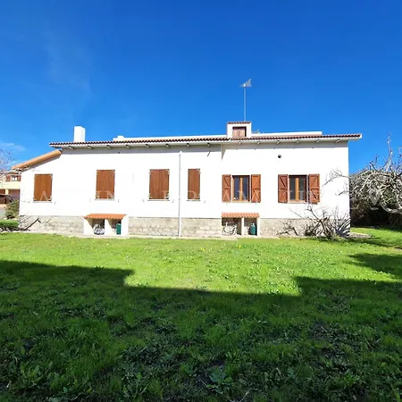 Residenza Palm Tree *