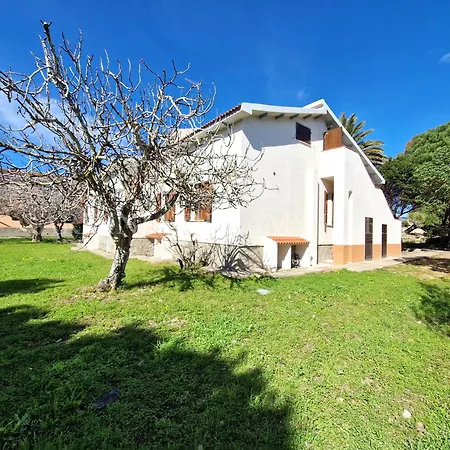 Residenza Palm Tree Apartament *