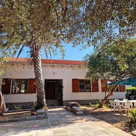 Residenza Palm Tree Apartment