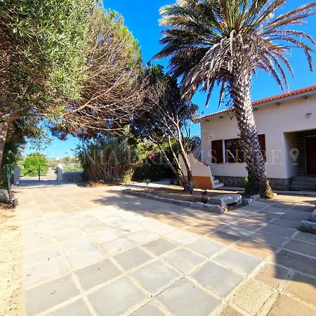 Residenza Palm Tree Apartment Santa Teresa Gallura
