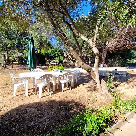 Residenza Palm Tree 800 M From Rena Bianca With Private Parking