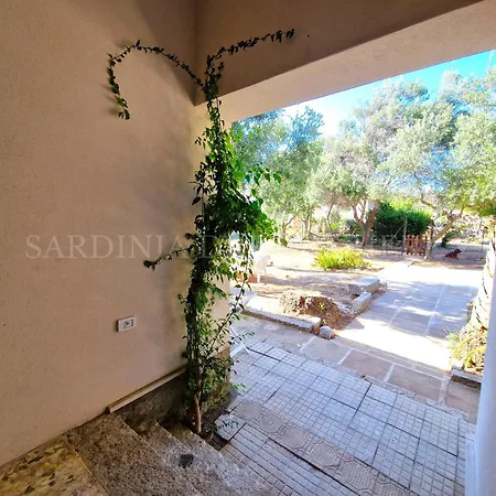 Residenza Palm Tree *