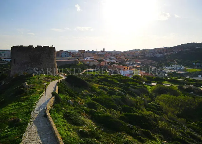 Residenza Palm Tree * 산타테레사의갈루라