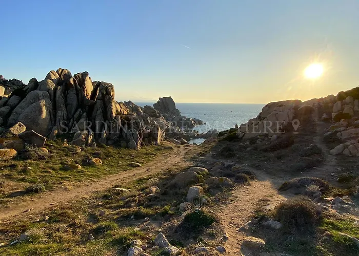 Residenza Palm Tree 아파트